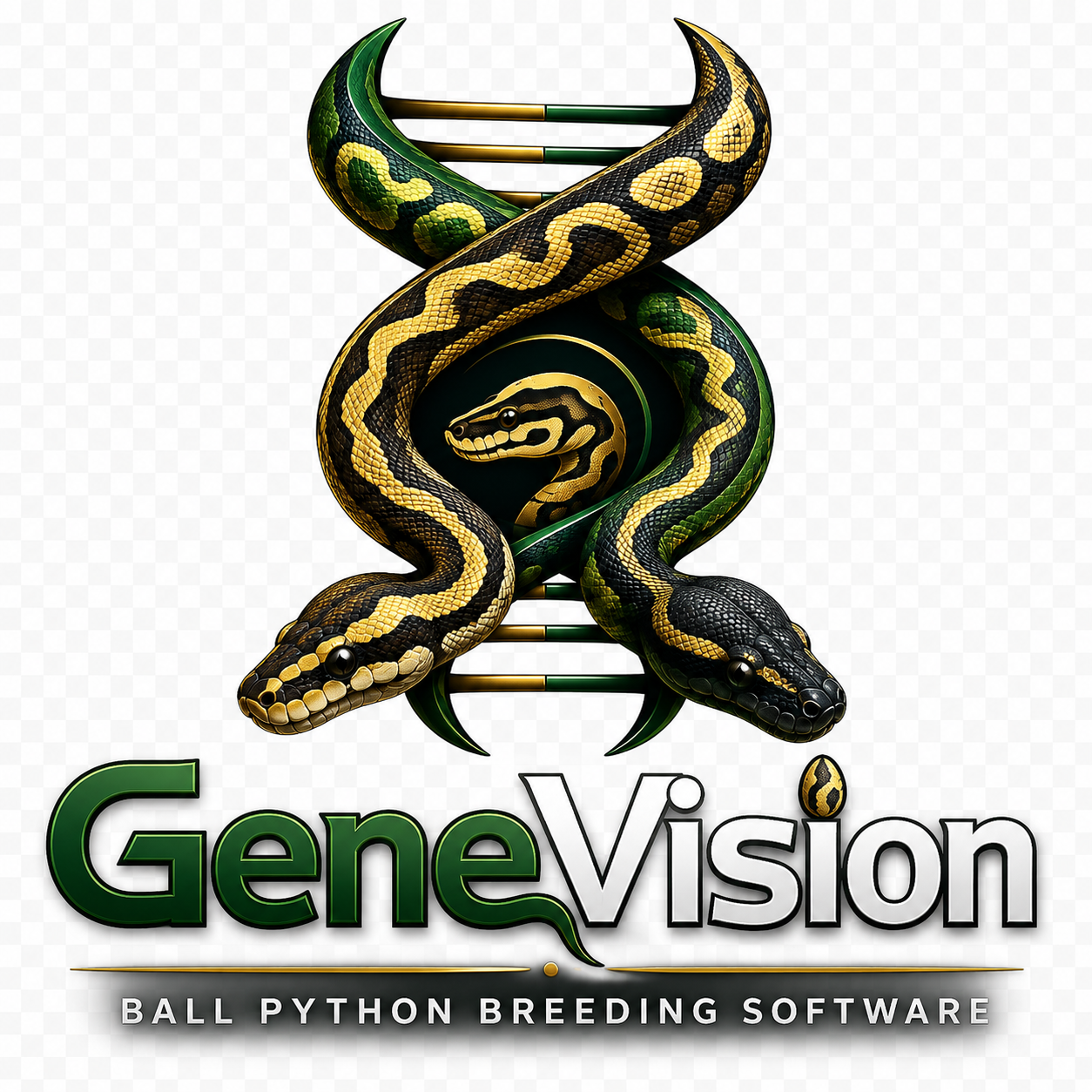 GeneVision Keeper Icon